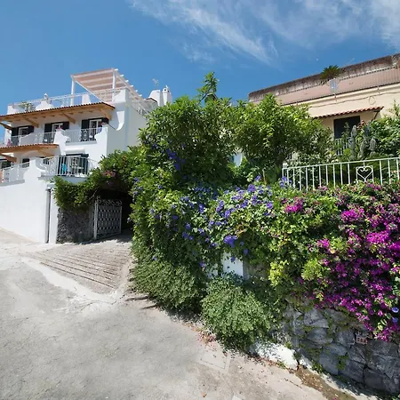 فندق Giardino Delle Ninfe E La Fenice ايسكيا