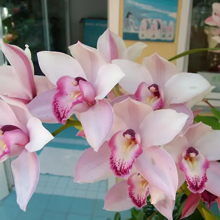 Giardino Delle Ninfe E La Fenice