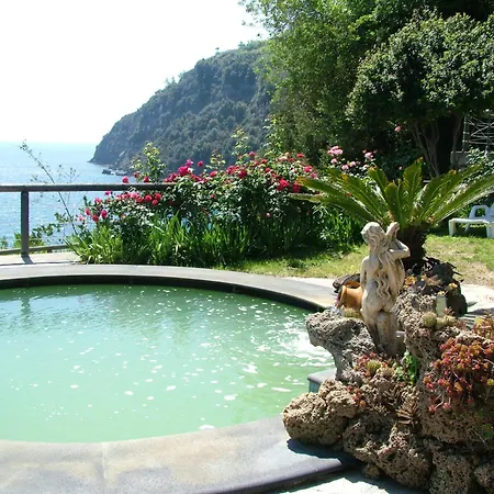 Hotel Giardino Delle Ninfe E La Fenice Ischia