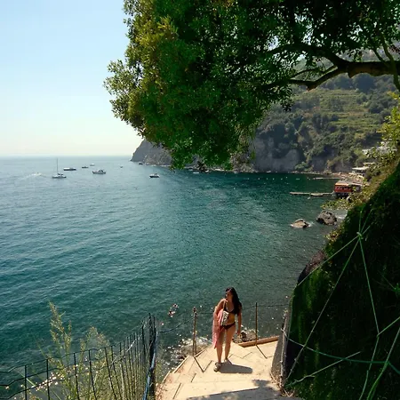 Hotel Giardino Delle Ninfe E La Fenice Ischia