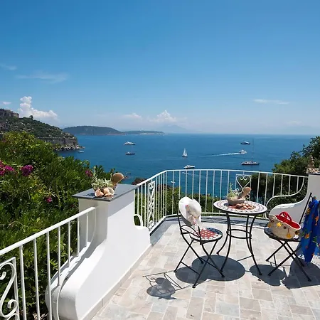 Giardino Delle Ninfe E La Fenice Ischia